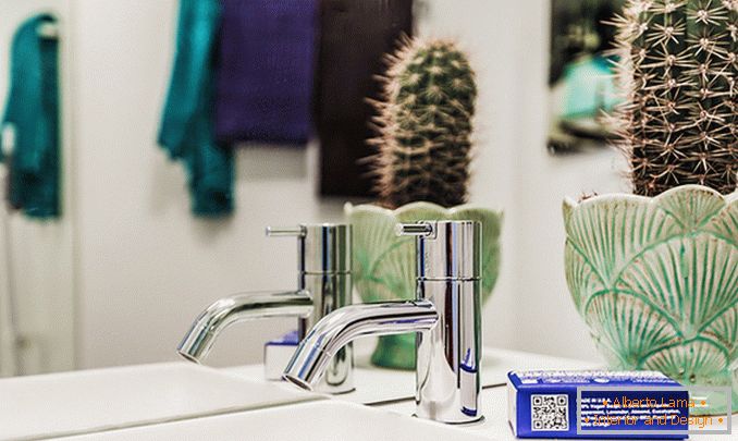 Cacti in the bathroom of a small studio apartment in Sweden