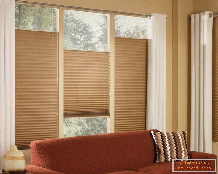 The obvious advantage of curtains pleated: a rich color palette, light transmission - from transparent to dense, the possibility of mounting on the curtains and on each opening of a complex window, vertical adjustment from below and from above.