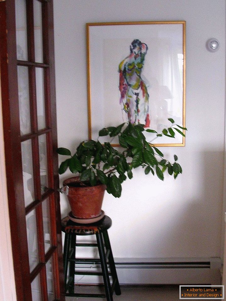 The plant on a stool in a corner