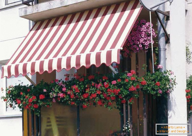 Stationary facade awnings for small balconies. Such a miracle is possible on the shore of the warm sea. The hostess for the flowers is excellent, a vivid example for imitation.