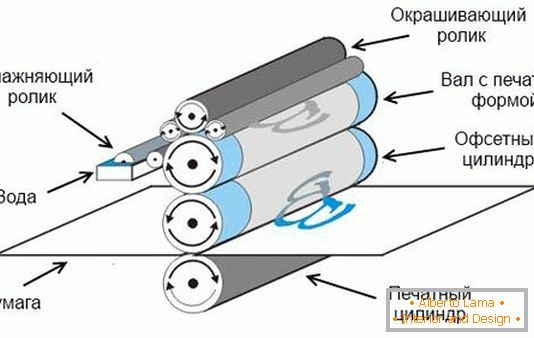 Scheme of the process of offset (lithographic) printing