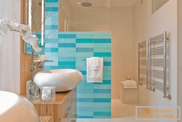 What is the color of the blue in the bathroom interior?