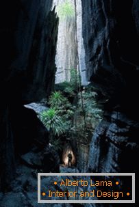 Around the World: Stone Forest in Madagascar