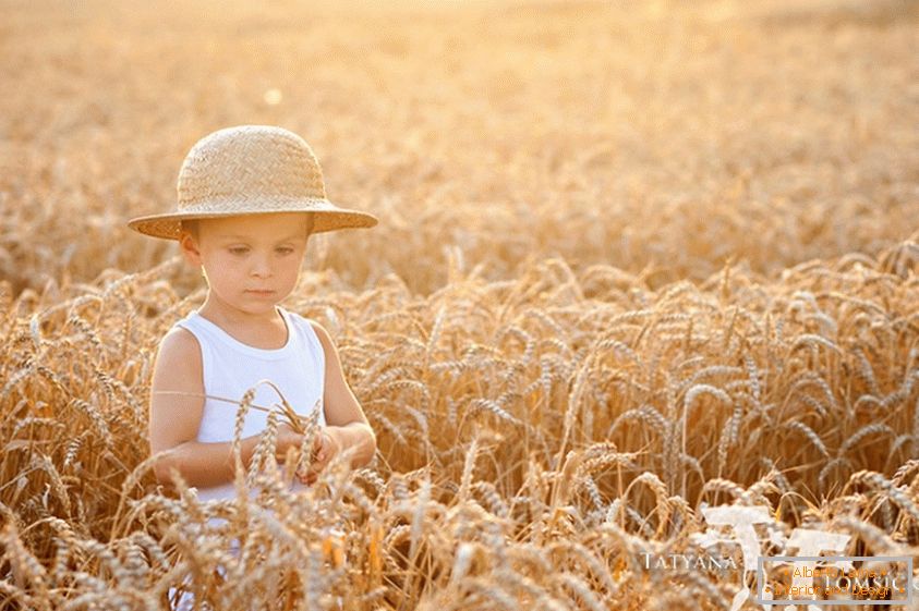 A child in a wheat field