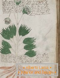 Mysterious manuscript of Voynich