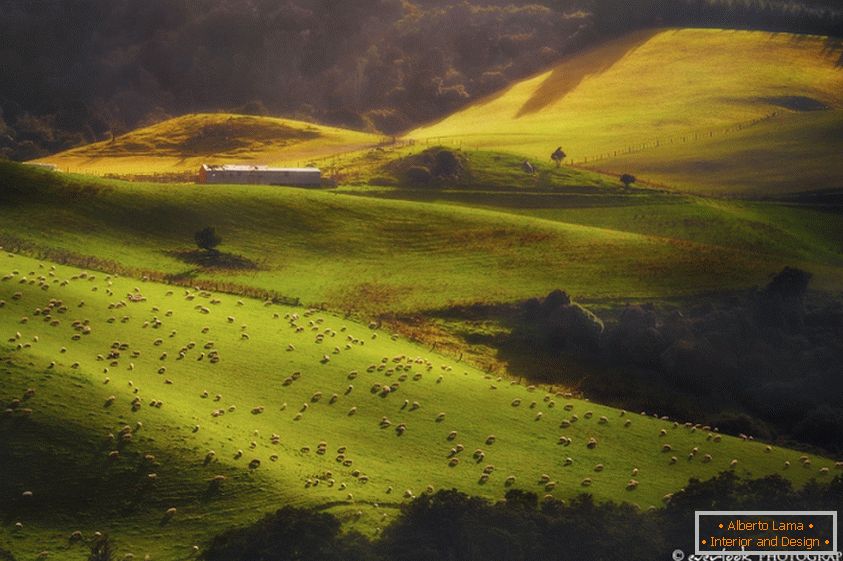 Landscapes of New Zealand Dylan Toh