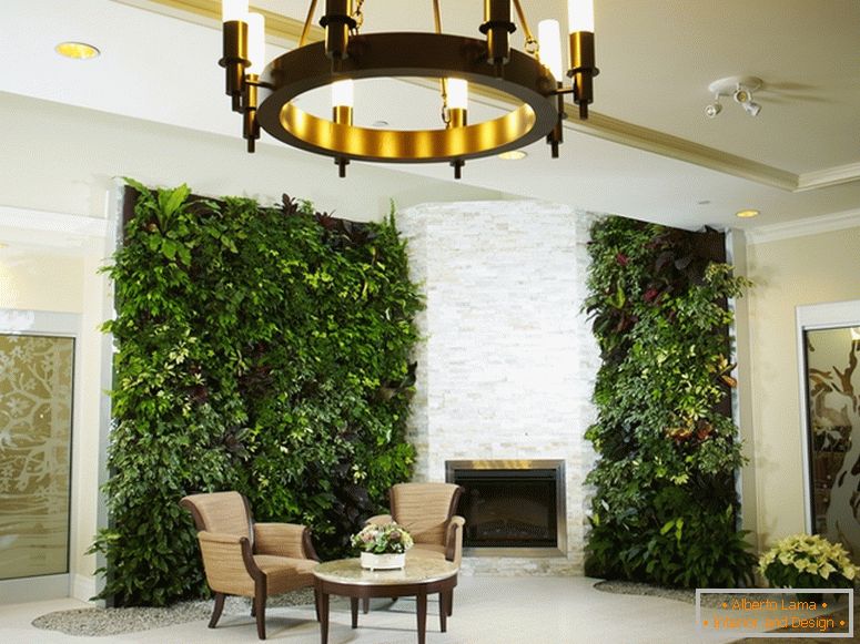 Living walls: how they can improve your home and your health