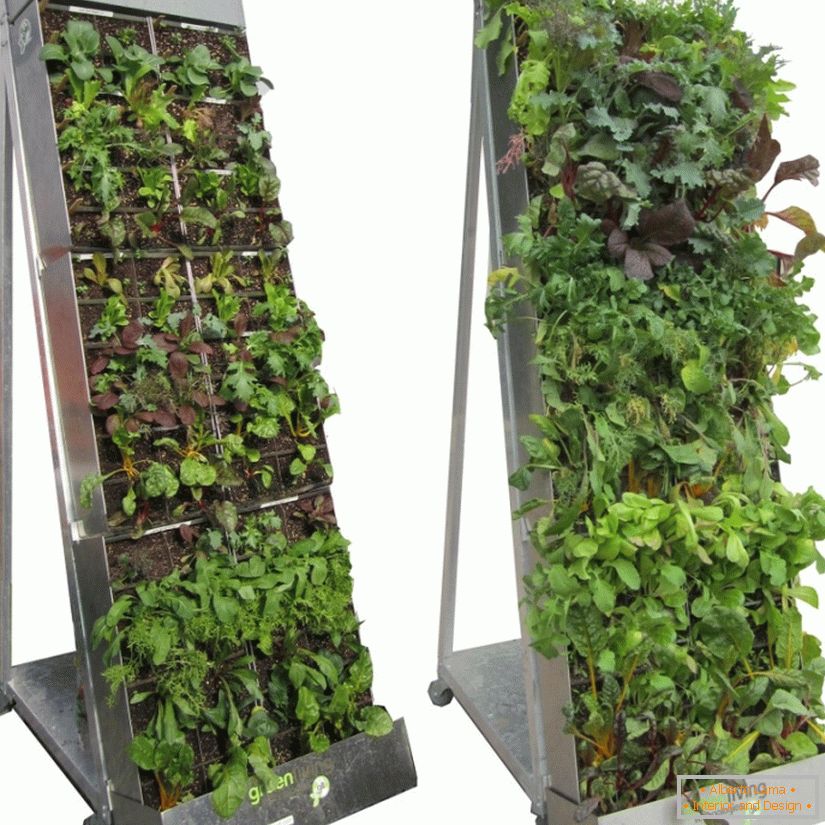 Vertical plantations as a colorful addition to your interior