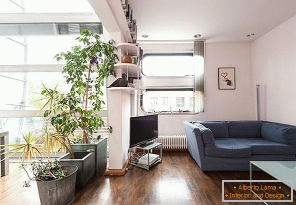 Indoor plants in the living room